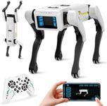 Dingdongwu Smart Robot Dog - Intera
