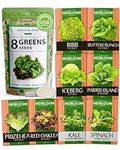 Lettuce & Salad Greens Seed Vault -