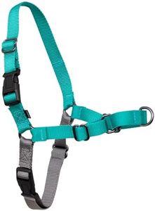 PetSafe Ea
