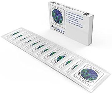 Natural Probiotic Selection Cultivos de kéfir – Paquete de 12 bolsitas de Cultivo liofilizado para Preparar kéfir lácteo Suave