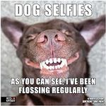 RED EMBER Dog Selfies 2024 Hangable