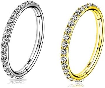 BLISI 2PCS G23 Titanium Nose Rings Hoop 16G 8mm Clear CZ Lined Hypoallergenic Conch Helix Cartilage Earring Hoop Silver and Gold Lip Hinged Segment Ring