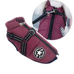 Winter Vest For Dogs