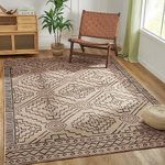 JINCHAN Area Rug 3x5 Entryway Recyc