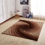 JAUNTY CARPETS Extra Soft Luxury Area Rug Fluffy Carpet Living Room Shag Carpet 2-inch Thick Carpet 4 x 6 feet