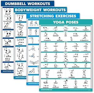 Palace Learning 4 Pack - Dumbbell Workouts + Bodyweight Workouts + Stretching Exercises + Yoga - Set of 4 Workout Charts (18” x 24”, LAMINATED)