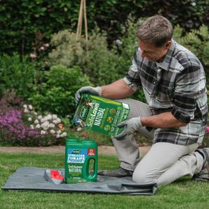 Westland Safelawn Lawn Feed 80m² Box – Pet Safe Grass Care