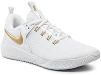 Nike Zoom Hyperace 2 LE Volleybalsh