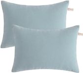 BEDSUM 2 Pack Pillows, 13"x18" Microfiber Pillows for Travel, Pets, Soft and Machine Washable Small Pillows for Neck, Wrist, and Knee Comfort, Sea Green