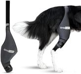 Ortocanis - Dog Knee Brace - for Ri