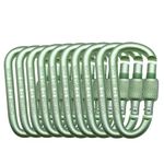 10 Pack Keychain Clips with Screw Gate, D-Ring Shape Locking Carabiner, Aluminum Alloy Fast Hanging Buckle 5.5mm Diameter Outdoor Carabiners not for Climing(Light Green)