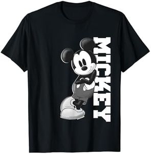 Disney Mic