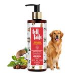 Tell Tails 4-in-1 Tick & Flea Dog Shampoo - 250ml - Relieves Itching, Soothes Skin, Protects Coat, & Promotes Healthy Fur - Jojoba, Ginger, Shea Butter & Rice Protein - for Shih Tzu & All Breeds