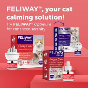 FELIWAY Friends Cat Calming Refill 48ml – Stress Relief for Cats