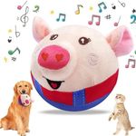 Dcoinc Interactive Dog Toys for Bor