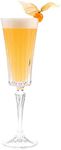 Timeless Champagne Flute x6