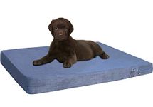 Dogbed4less Cooling Memory Foam Dog Bed for Medium Dogs with Washable Cover, Waterproof Liner and Extra External Pet Bed Case 37X27X4 Inch, Grey