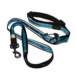 Kurgo Dog Leash