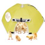 MOGOULUA Brooder Heater for Chicks 55cm Large Capacity Brooder Heat up to 50 Chicks Heating Tent Warmer for Baby Chick & Duckling 80 °C for Poultry Foldable Brooder Heater Tent