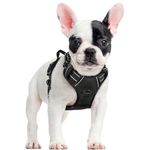 rabbitgoo Dog Harness Small Dog No Pull Pet Harness with 2 Leash Clips, Adjustable Soft Padded Pet Vest Harness, Reflective No-Choke with Easy Control Handle for Training or Walking, Black, S