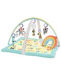 Skip Hop Baby Play Gym, ABC & Me, Pastel, 34x34x19 Inch (Pack of 1)