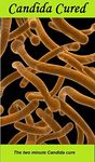 Candida: the two minute Candida cure:: new details added April '16 about the unique probiotic Candida is very sensitive to