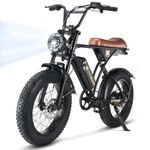 Electric Bike New