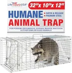 Heavy Duty Catch Release Large Live