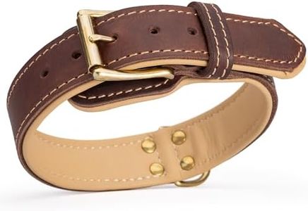 Viper Royal Padded Leather Dog Collar with Nappa Leather Lining – Luxurious Comfort & Robust Full-Grain Leather Design, 1.5in (38mm) Wide | Premium Quality for Medium, Large & Giant Breeds
