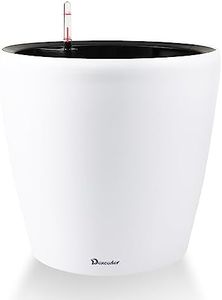 Dexceder 1
