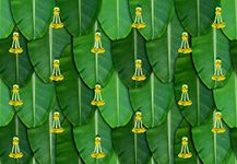 Banana Leaf Curtain Backdrop Decoration Cloth with Yellow Flowers, Size : (8X 5) feet, vinayaka Pooja backdrops |Traditional Backdrop Decoration Cloth | Diwali Pooja Backdrop