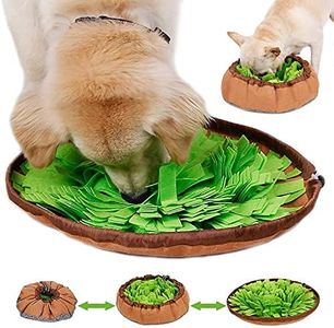 Edipets, T