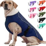 EMUST Dog Jacket Winter, Cozy Waterproof Dog Jacket for Cold Weather, Solid Color Windproof Dog Vests for Cold Winter, Blue, L