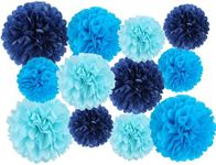 12 Pcs Tissue Pom Poms Kit, Tissue Paper Flowers for Birthday, Boy Baby Shower, Nursery, Graduation, Bachelorette Party Decoration (Blue Mix)