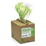 The Green Sack Refuse Bag in Dispenser Clear (Pack of 75) GR0604
