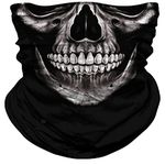 Skull Mask For Dust