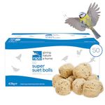 Fat Balls for Wild Birds, High Energy Food, Suet Balls for Wild Birds, Made in the UK, Suitable for Year-round Feeding (Box of 50) - RSPB