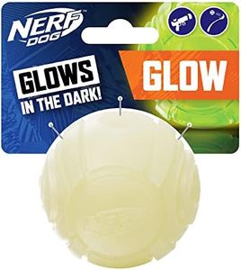 Nerf Dog TPR Curve Glow Ball