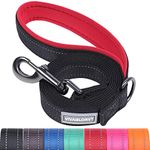 VIVAGLORY Dog Lead, Dog Walking Lead with Comfortable Padded Handle, Reflective for Safety, Heavy Duty Training Lead for Medium & Large Dogs