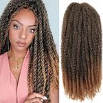 Saisifen Marley Twist Braiding Hair Extensions 3 Packs/Lot Marley Braid Hair Long Afro Kinky Curly Butterfly Locks Crochet Hair (18 inch, T27)