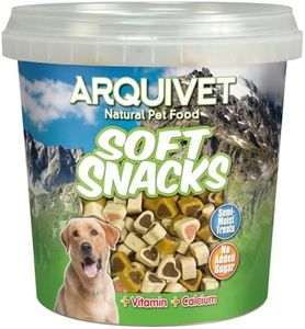 Arquivet, 