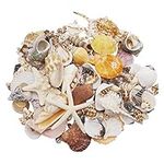 GraceAngie 50pcs Mixed Sea Shells Various Sizes Natural Beach Seashells for Hermit Crab Home, Candle Making, Home Decorations, Beach Theme Party Wedding Decor, DIY Crafts, Fish Tank and Vase Fillers