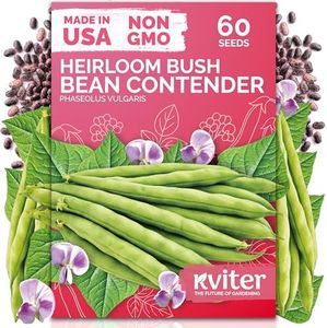 KVITER 60 Contender Bush Bean Seeds (Phaseolus Vulgaris) - Contender Beans, Stringless Green Bean, Early Days Harvest, Bush Beans Seed Packets - Heirloom Vegetable Seeds for Outdoor Garden, Containers