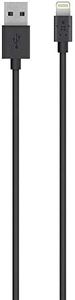 Belkin Lig