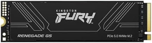 Kingston Fury Renegade G5 4096GB NV