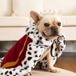 Lovelyshop pet Serial Lux Fur Cat Dog Cloak for Halloween Costumes, King Queen Prince and Princess Cosplay-M