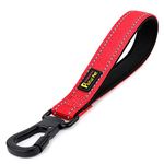 PLUTUS PET Strong Training Dog Lead with Rock Climing Carabiner Clip, Relective Nylon Dog leash Padded Handle, Training Lead for Large and Medium Dogs(25cm,Red)