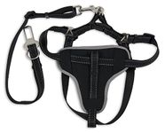 Petmate 11476 The Ultimate Travel Harness for Pets, Small, Black