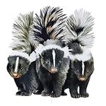 Collections Etc Realistic Skunk Tri