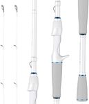 KastKing Centron Lite Twin Tip Cast